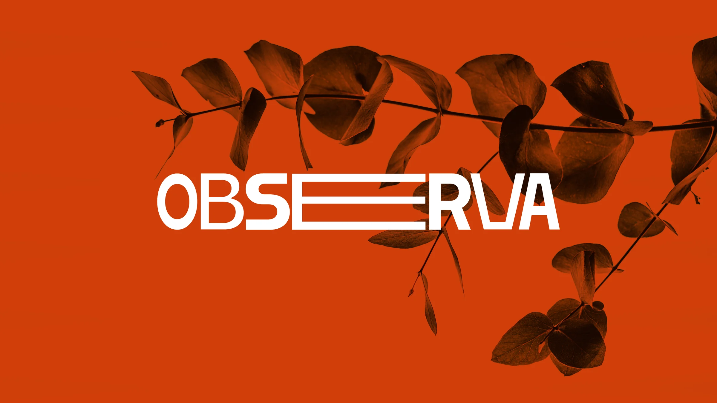 Observa exhibition poster integrating photography and experimental typography.