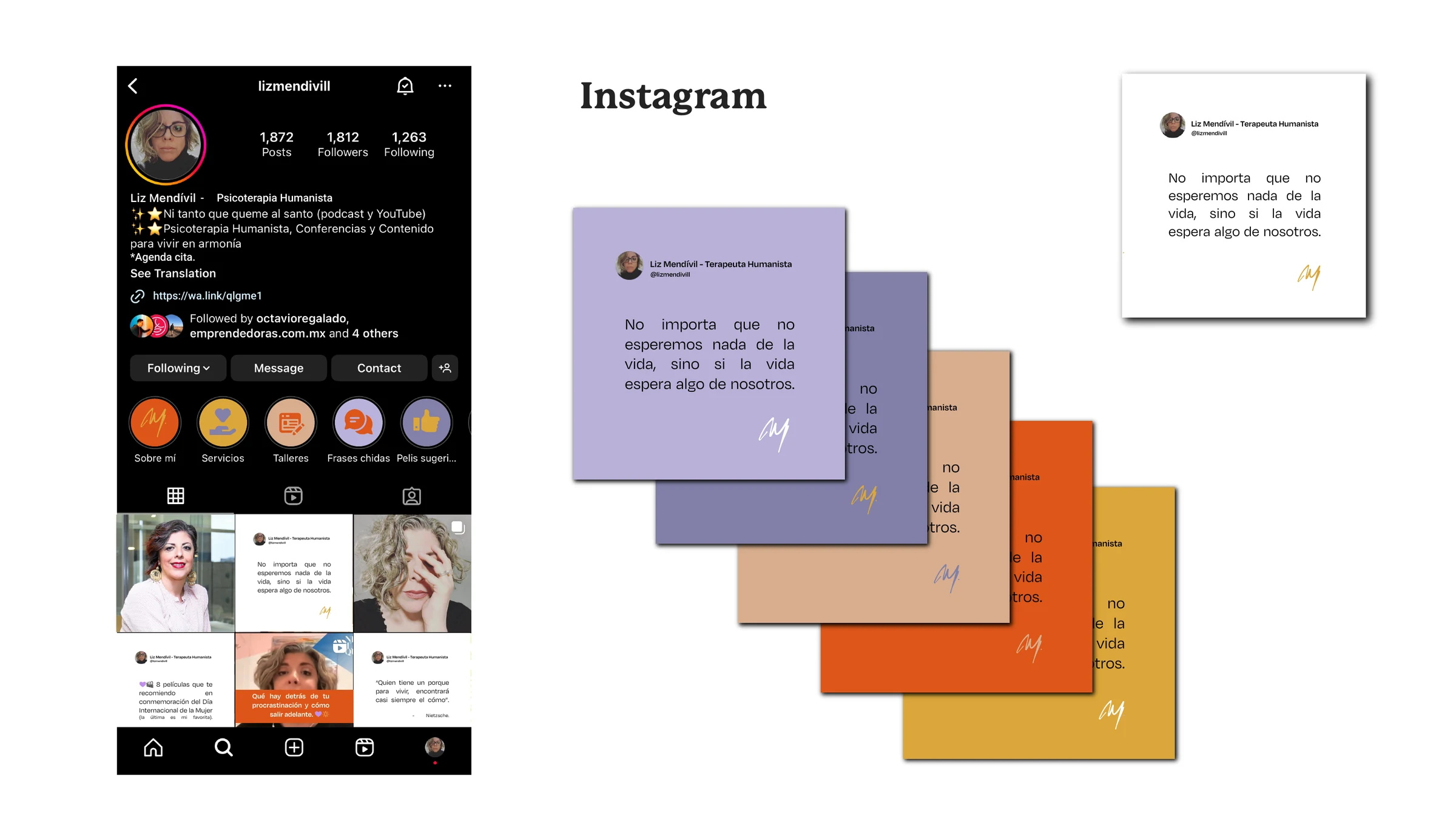 Liz Mendívil social-content system and Instagram applications.